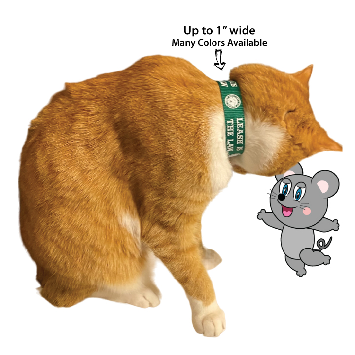 Custom pet collars... For dogs or cats.